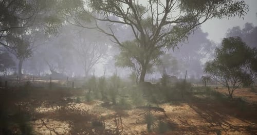 Sunlit Foggy Forest Animation with Ethereal Atmosphere