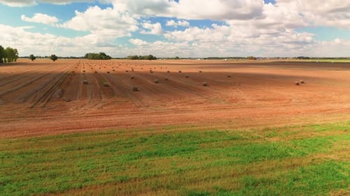 A wide aerial view of a harvested field with neatly arranged hay bales under a bright blue sky fille