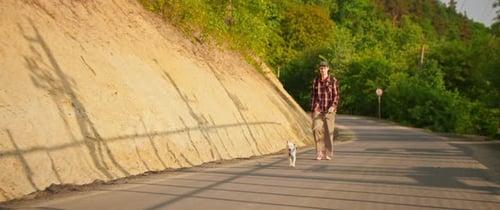 Hipster Young Man Walks with Dog at Sunny Path on Road Near Green City Park Slow Motion