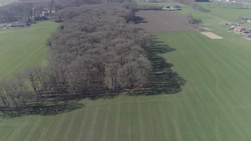 High aerial drone shot of agriculture farm fields, small forest and town.