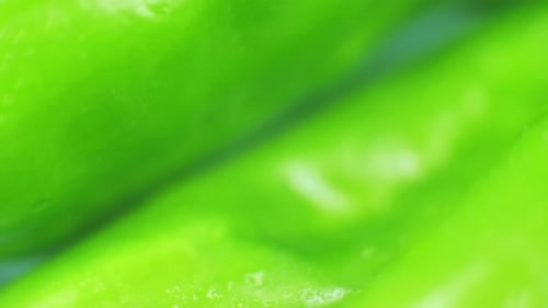 Natural Green Blur Background