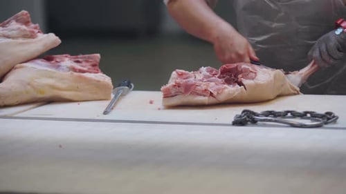 Meat Factory Butcher Cuts Meat Throws It on a Conveyor Belt Sharpens a Knife