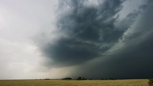 Time Lapse of Storm Clouds Drifting Above A Colorful Field of Wheat.