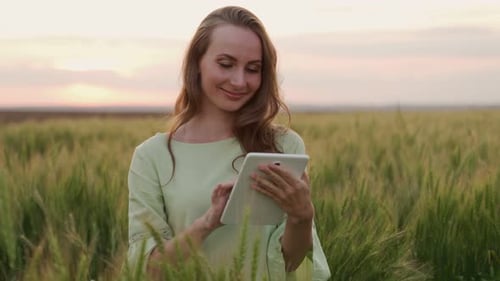 Female Agronomisttechnologist with a Tablet Computer in a Wheat Field Checks the Quality and Growth