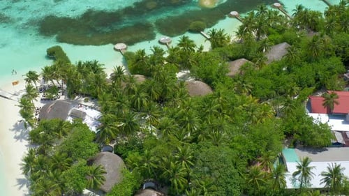 Luxury Overwater Villas with Coconut Palm Trees Blue Lagoon White Sandy Beach at Bora Bora Island