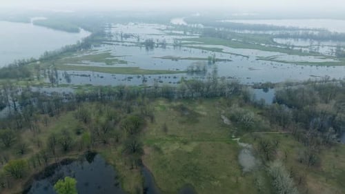 River Lake Swamp Water Forest Spring Nature Park Tree Green