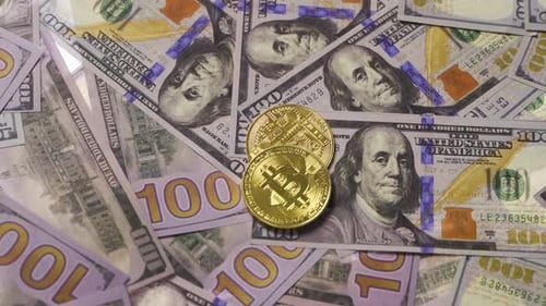 Bitcoin Coins Resting on US Dollar Bills