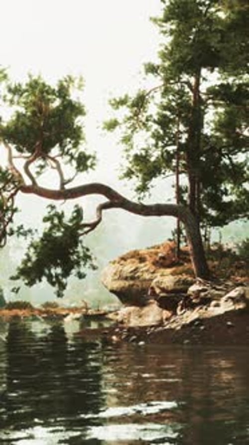 A Serene Lake Surrounded By Lush Trees