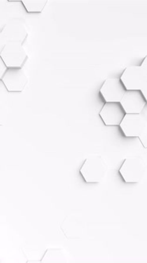 Clean White Hexagon Geometric Animated Background