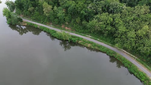 Aerial View of Road in the Middle of the Forest and Lake