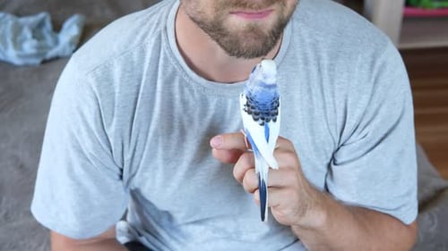 Man with pet parakeet bird perched on finger