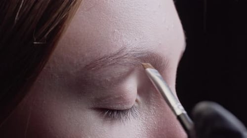 Professional Eyebrow Makeup