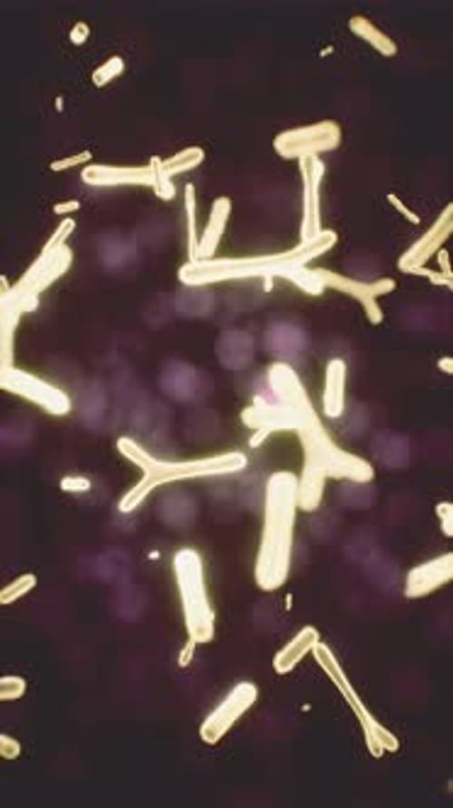 Vírus sob a visão microscópica da educação