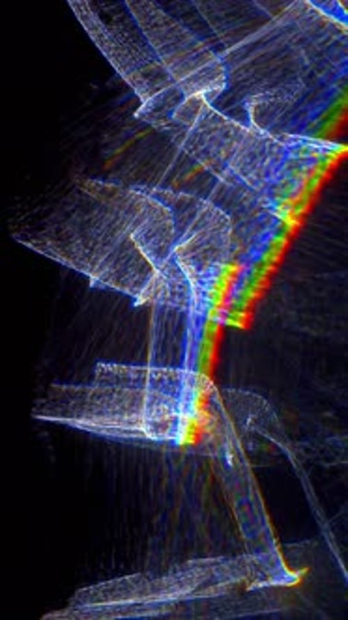Shimmering Waves Of Light Creating Dynamic Patterns