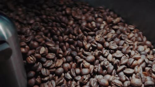 Coffee Beans Tumbling in a Mixing Machine