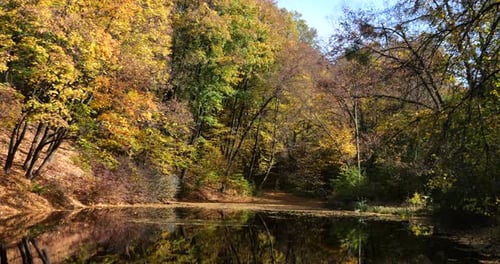Forest lake in autumn. Reflection of trees in the water.