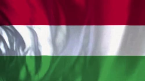 Seamless Waving Flag of Hungary Animation