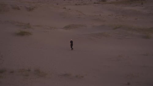 Solitude in the vast desert with golden sands