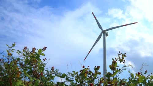 wind turbine generates electricity thanks to wind, renewable energy. static real time 4k shot