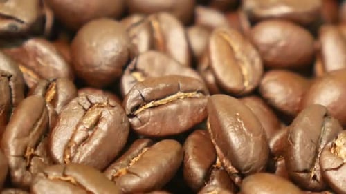 Close Up Footage of Medium Roasted Coffee Beans