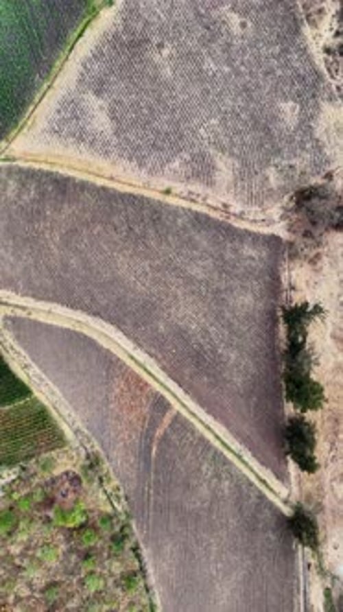 Aerial view of agricultural fields and patterns, Mexico.