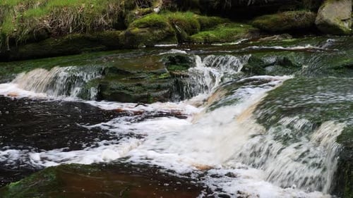 Langsam fließender Waldbach-Wasserfall, ruhige Naturszene mit ruhigem Pool darunter, üppiges Grün
