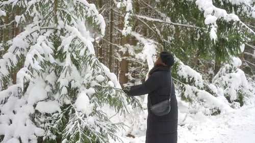 Snowfall covered forest, attractive adult female shaking branches of tree