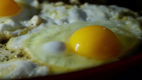 Fresh Egg Frying on Hot Buttered Pan Surface in Real Time Cooking Scene Close Up