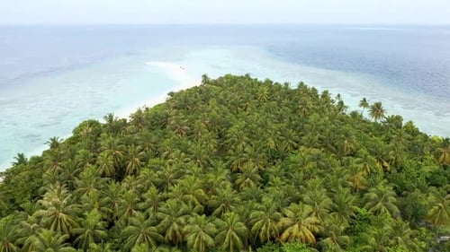 Aerial view of beautiful Maldives island. Tropical beach white sand, blue Indian Ocean palm trees. V