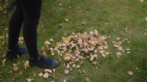 Young woman raking colorful autumn leaves on a sunny fall day
