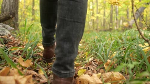 Hiker Walks Among Leaves Fallen on Ground in Autumn Forest