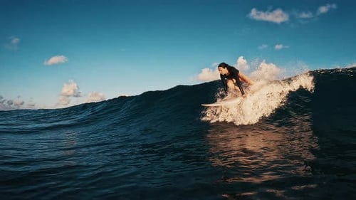 Athletic Woman Surfing Ocean Wave at Sunset