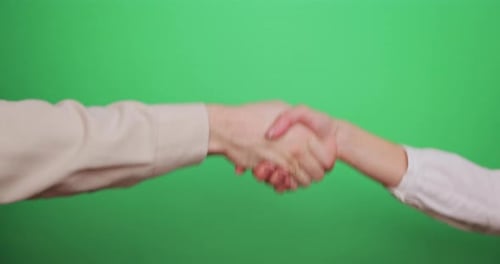 Business People Shaking Hands Closeup on the Green Background