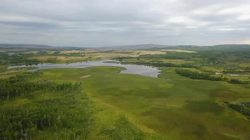 Aerial descends to vibrant green wetland marsh in Canadian foothills