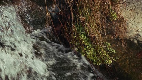 Heavenly Waterfall In Creek Wiew In Green Nature 04