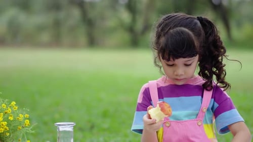 Porträt eines Mädchens gemischter Abstammung, das glücklich ist, im Park im Freien Äpfel zu essen, gesundes Obst