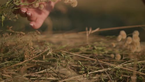 Close Up of Hand Gently Dropping Wild Flowers Into Grassy Field