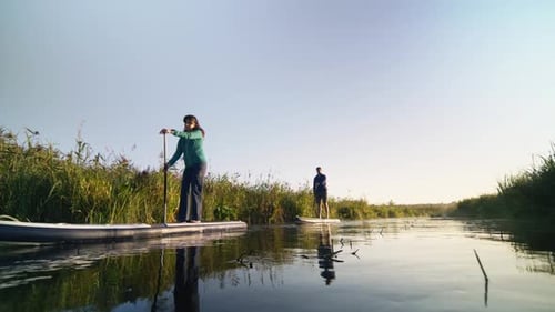 Man and Woman Riding Paddleboards in River Between Green Vegetation