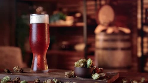 Interior of Craft Brewery with Glass of Beer and Hops on Wooden Table Traditional Brewing Style