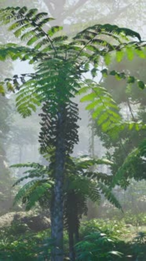 Inside a Rainforest Covered in Bright Green Moss
