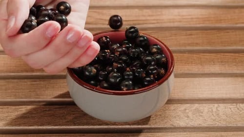 Bowl of Black Currants on Wood Table