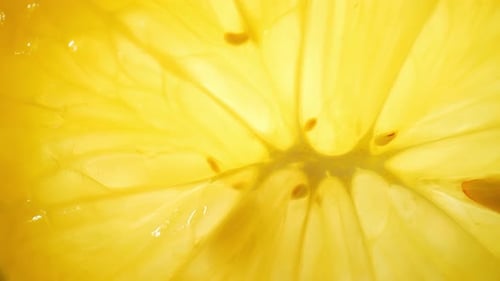 Vibrant Close-Up of a Translucent Lemon Slice