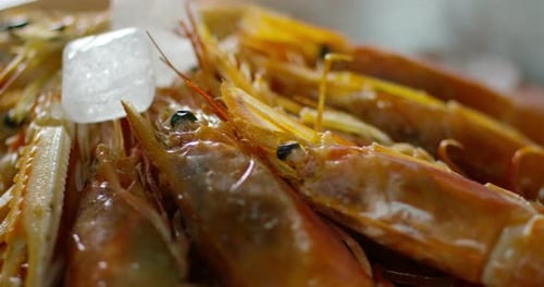 Dietary dish of shrimp and salad, great for fitness and proper nutrition, light and tasty
