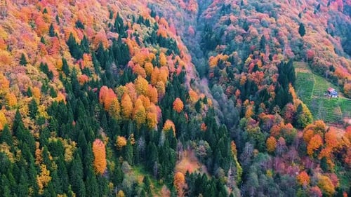 Herbst in den Bergen