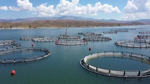 Aerial View Of Fish Ponds In The Lake And Hills