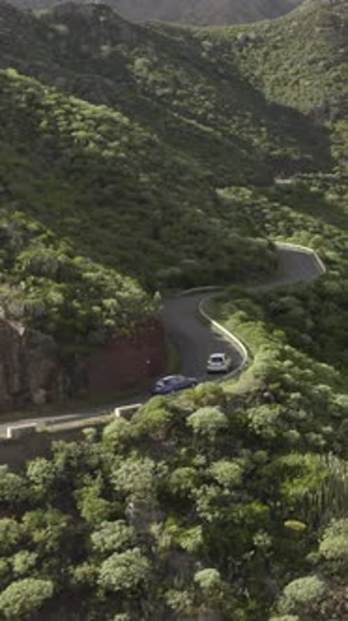 Aerial View of Cars Driving Along a Beautiful Mountain Road