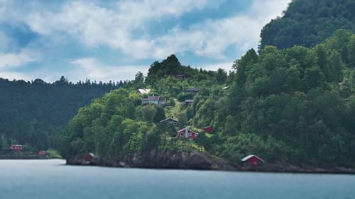 Miniaturized tidy red wooden cabins and boathouses scattered along the forest-covered fjord coast.