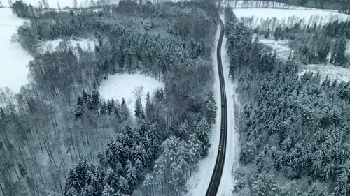 Cars Traveling In Winter Road Between Pine Forest Near Pieszkowo Village, Poland. - Aerial Drone Sho