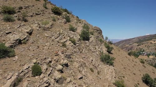 Aerial View Of Herd Of Wild Goats Climbing Mountains 4