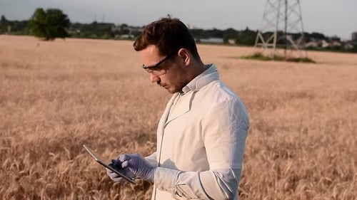 Close-up of a biologist's hand holding a test tube at sunset. The concept of medicinal plants.